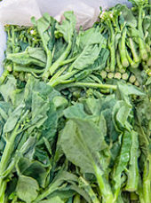 Kailaan White Flowered Chinese Broccoli 150 seeds
