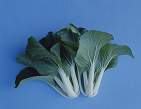 Pak Choi Canton White Dwarf 1000 seeds