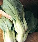 Pak Choi Mei Qing Choi 150 seeds