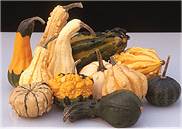 Gourds. Harrowsmith Gourd Collection 30 seeds