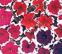Petunia. Express Ice Mixed 40 pellets