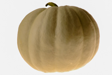 Pumpkin Lumina 5 seeds