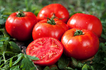 Tomato Loriane 10 seeds
