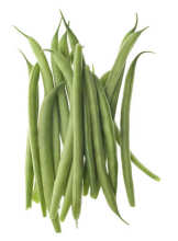 Climbing French Bean Blue Lake 100 seeds
