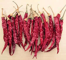 Chilli Mirch Masala 20 seeds