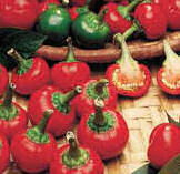 Chilli Satans Kiss Ciliegia piccante 15 seeds