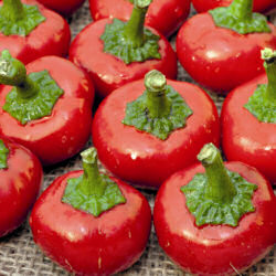 Chilli Cherry Bomb 10 seeds