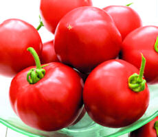 Tomato Cristal Disease Resistant 10 seeds