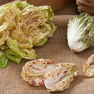 Radicchio Bel Fiore 40 seeds