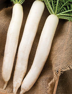 Radish Minowase Summer Cross no3 av 50 seeds