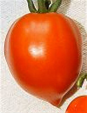 Tomato Amish Paste 8 seeds