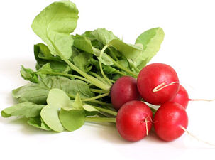 Radish Scarlet Globe 1000 seeds