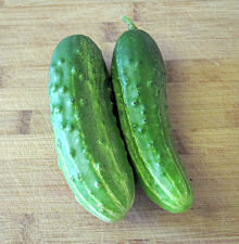 Cucumber Marketmore 35 seeds