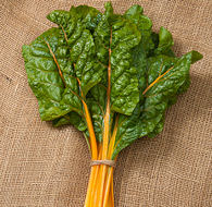 Swiss Chard Oriole Orange 140 seeds