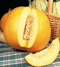 Pumpkin Jack o Lantern 10 seeds