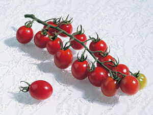 Tomato Apero Disease Resistant 10 seeds