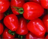 Tomato Tomatoberry 10 seeds