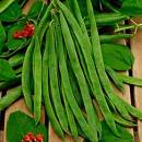 Runner Bean Scarlet Empire 50g av 40 seeds