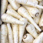 Parsnip Palace  av 300 seeds