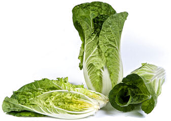 Chinese Cabbage Natsuki 50 seeds
