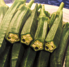 Okra Super Bhindi 10 seeds