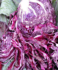 Cabbage Rococo 30 seeds