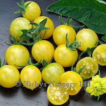 Tomato Blondkopfchen 10 seeds