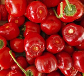 Chilli Rocoto Red 10 seeds
