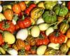 Aubergine Deco Fruits Mix 20 seeds
