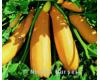 Courgette Atena 10 seeds