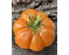 Tomato Axle Lake Swamp Miracle 10 seeds