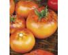 Tomato Orange Fleshed Purple Smudge 10 seeds