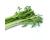 Japanese Parsley Mitsuba Mashimori 400 seeds