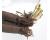 Salsify Sandwich Island 100 seeds