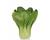 Pak Choi You Qing Choi clubroot resistant 75 seeds