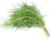 Saltwort or Agretti Okahijiki 120 seeds