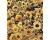 Helianthus. Sunflower Music Box Mixed 30 seeds