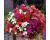 Impatiens. Beacon select mix  30 seeds