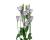 Lisianthus. Piccolo Lavender 15 pellets