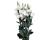 Lisianthus. Piccolo Pure White 15 pellets