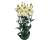 Lisianthus. Piccolo Yellow 15 pellets