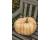 Pumpkin Porcelain Doll 5 seeds