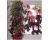 Rhodochiton. atrosanguineum Purple Rain 10 seeds