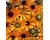 Rudbeckia. Eye Eye 200 seeds
