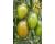 Tomato Artisan Lucky Tiger  10 seeds