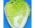 Chinese Cabbage Questar 75 seeds
