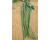 Yard long Bean 75 seeds