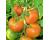 Tomato Orkado 10 seeds