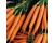 Carrot Nantes 2 seeds 2000