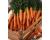 Carrot Royal Chantenay 1000 seeds